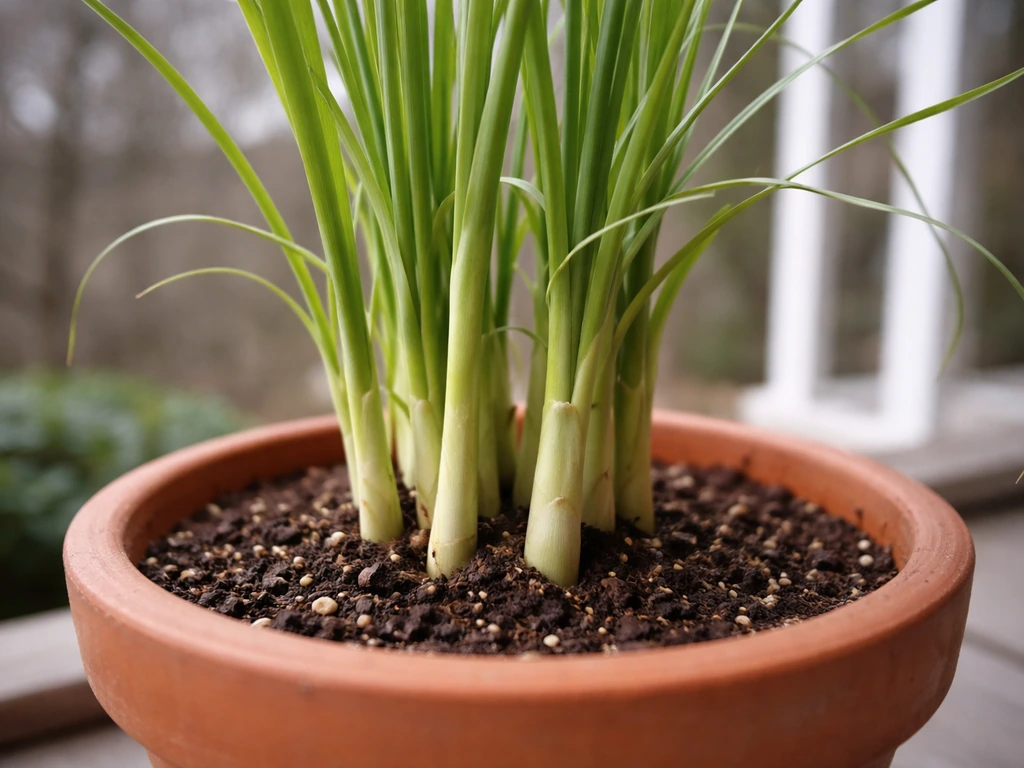 Can Lemongrass Grow in Michigan? Easy Growing Guide